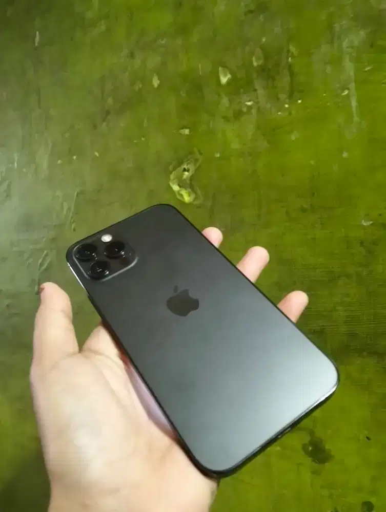 iPhone 12 pro 128 inter tree only