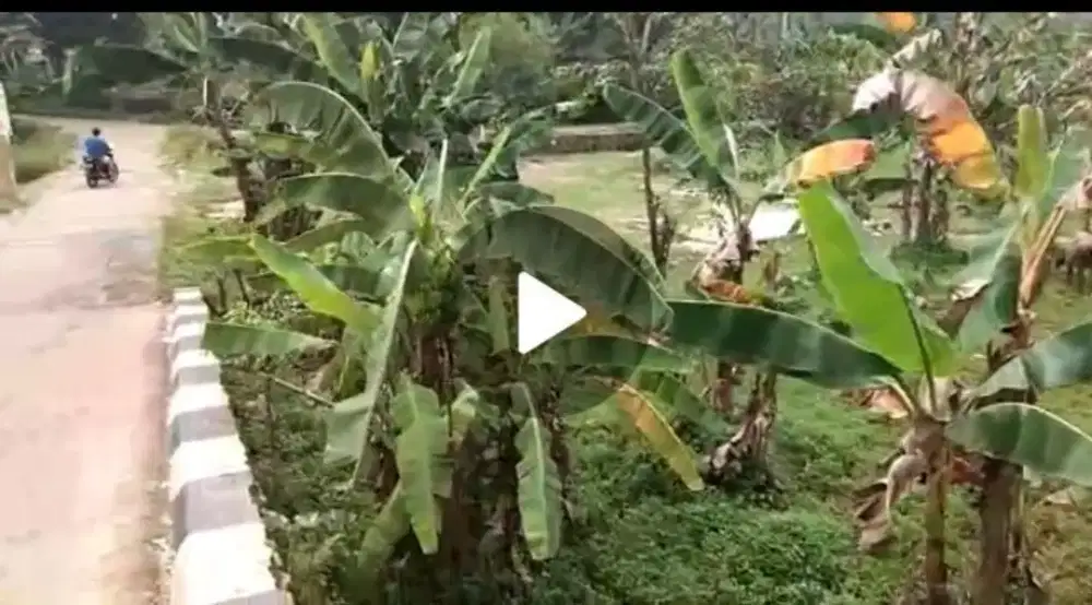 Di Jual Tanah di Depok TURUN HARGA