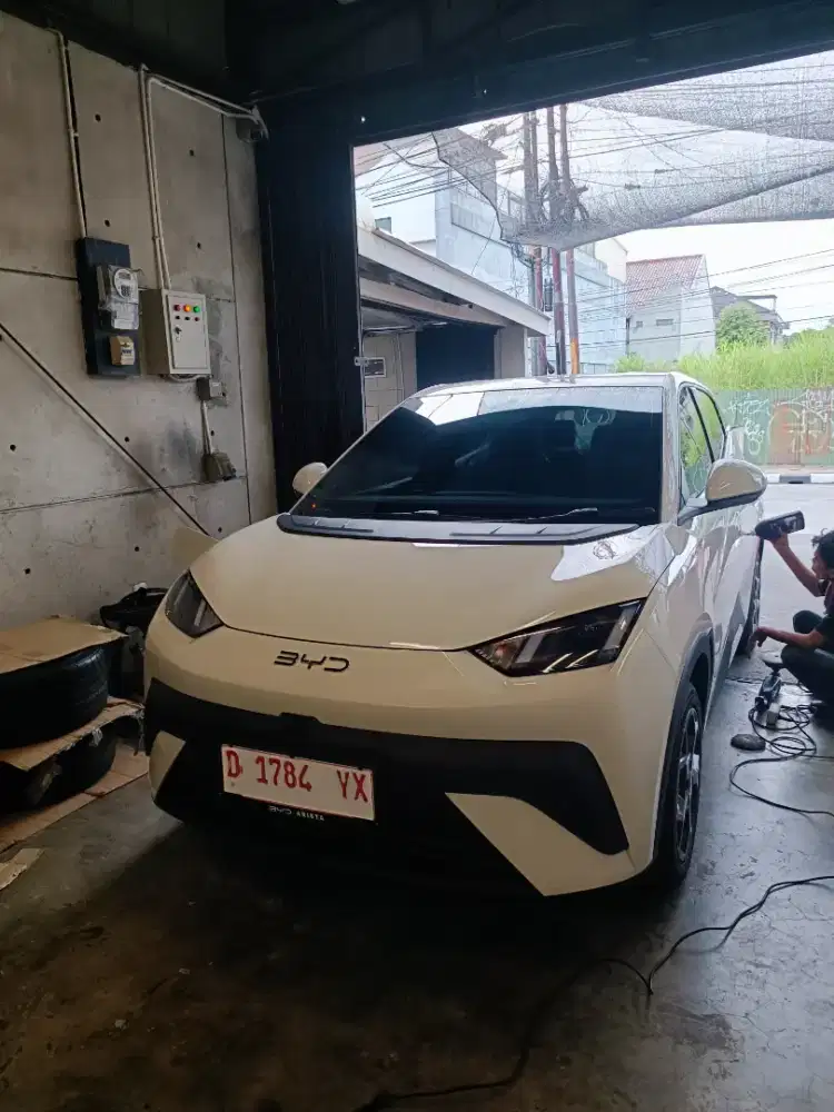BYD Atto 1 EV 2025 tgn 1 km.1xx