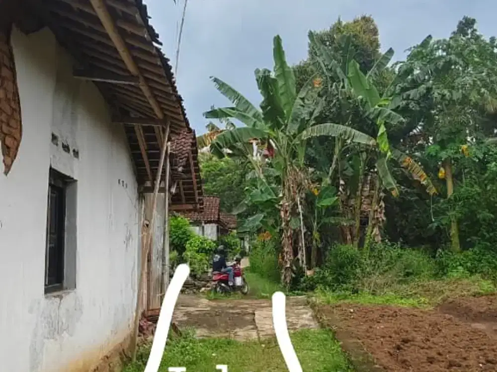 DIJUAL TANAH PEKARANGAN AREA MOYUDAN