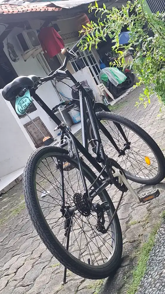 Sepeda taiwan lady 24