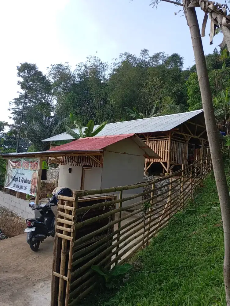 Jual Lahan Kebun dan Kandang Domba