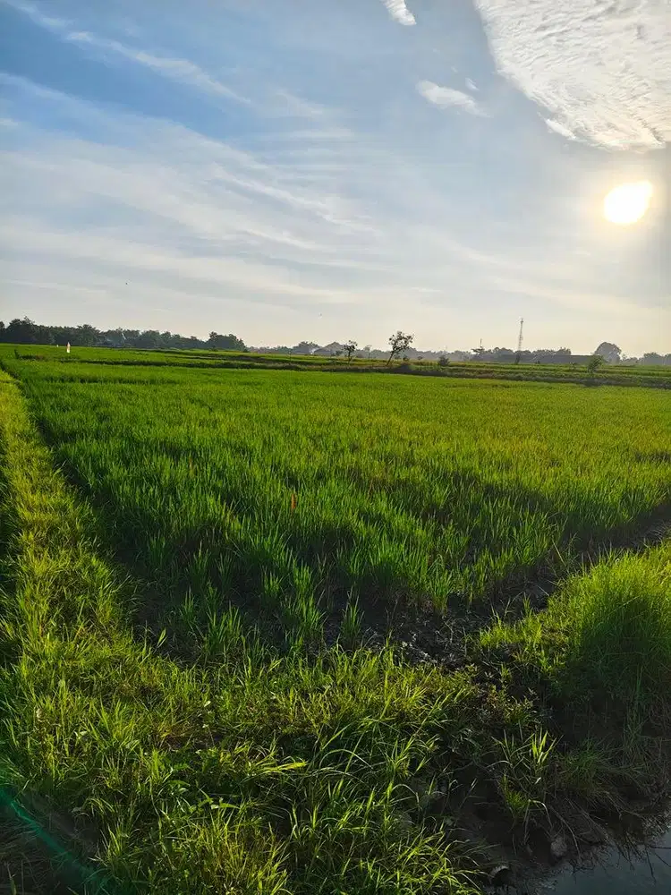 INVESTASI ASET DI GERBANG TOL SOLO-JOGJA (GUWOKAJEN)