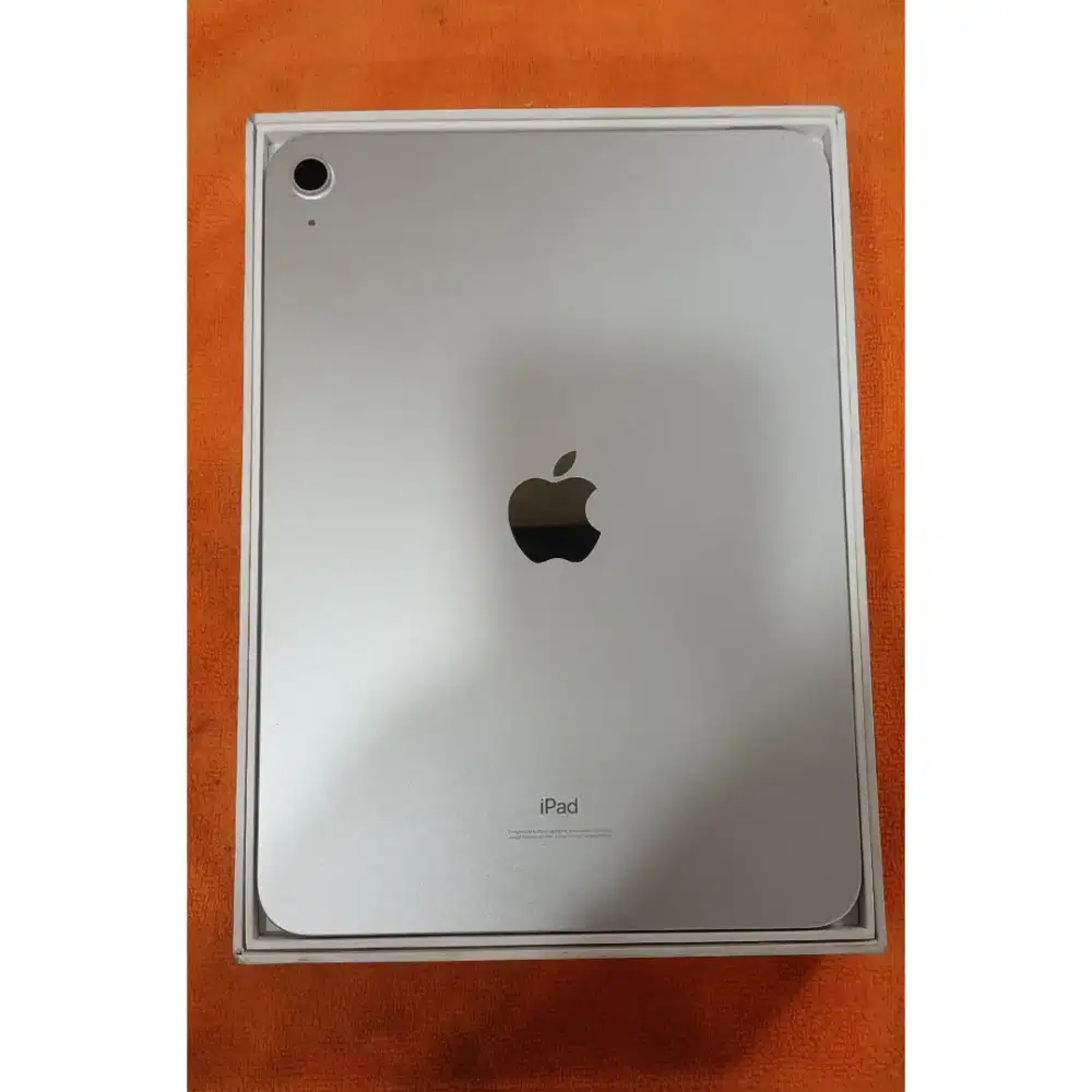 iPad Gen 10 256