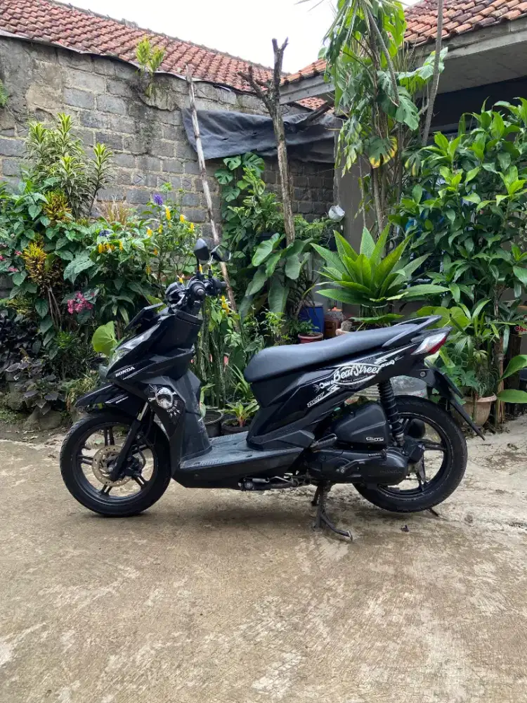 Beat street 2017 orsinil