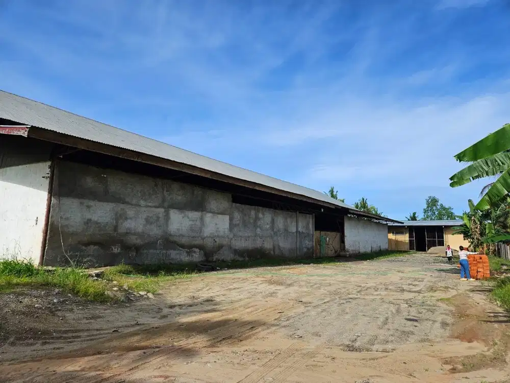 DI SEWAKAN !!! Tahunan