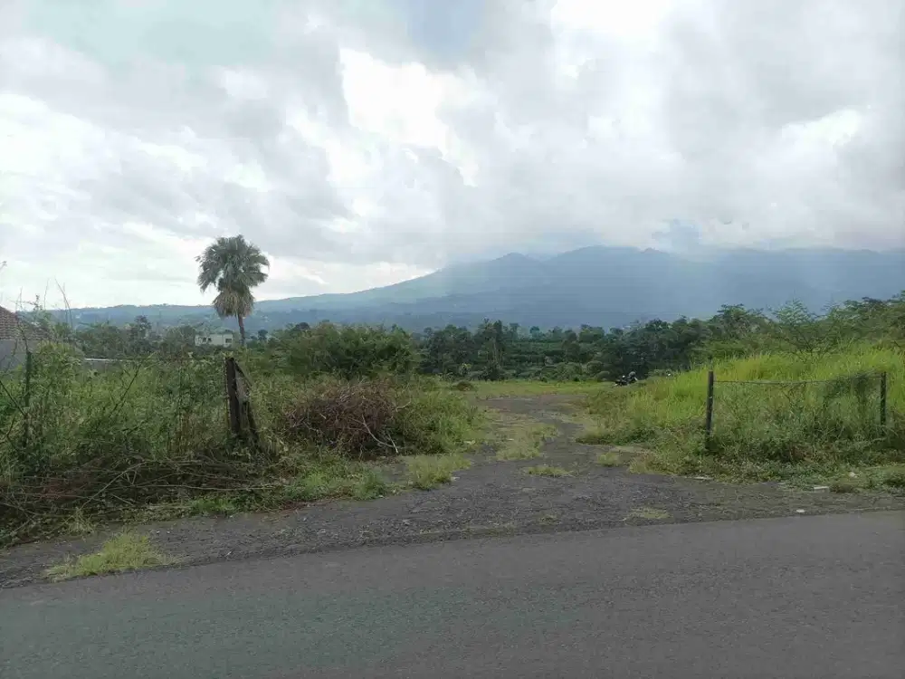 Tanah Murah Luas 1.1 Hektar di Pinggir Jalan Desa Kalisongo Dau Kabupaten Malang