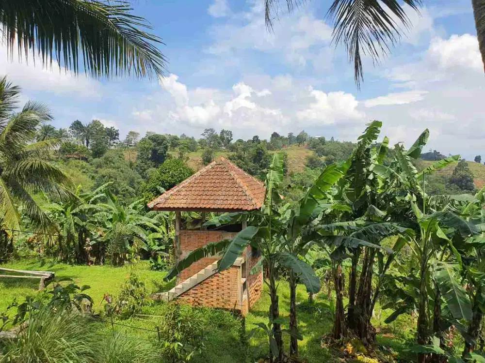 Dijual Tanah View Cantik cocok utk Pertanian & Vila di Cigudeg Kab Bogor