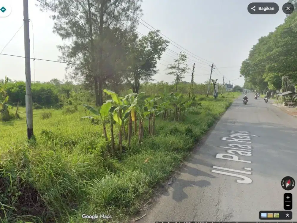 Tanah di kota Tegal. Murah, Rp 785.000. Luas 28,3 hektar. Cck untuk perumahan premium, pusat bisnis, kawasan industri sedang.