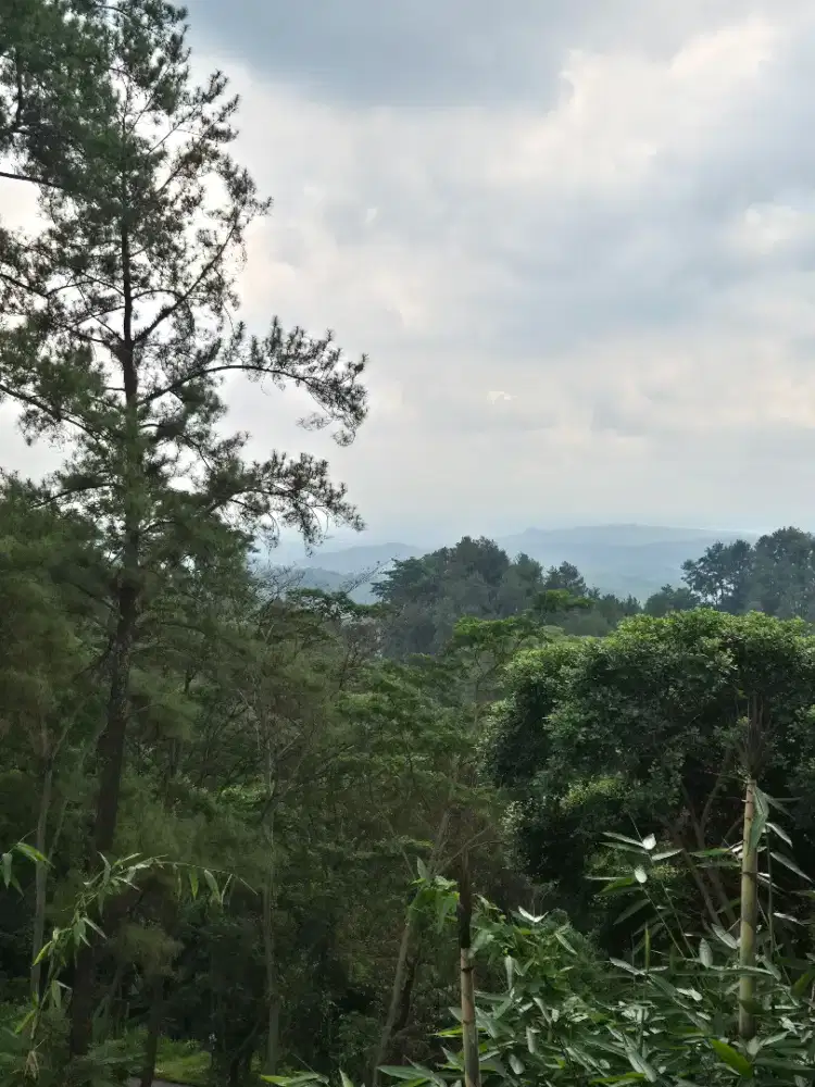 Dibutuhkan ART (PP) Jatiwaringin