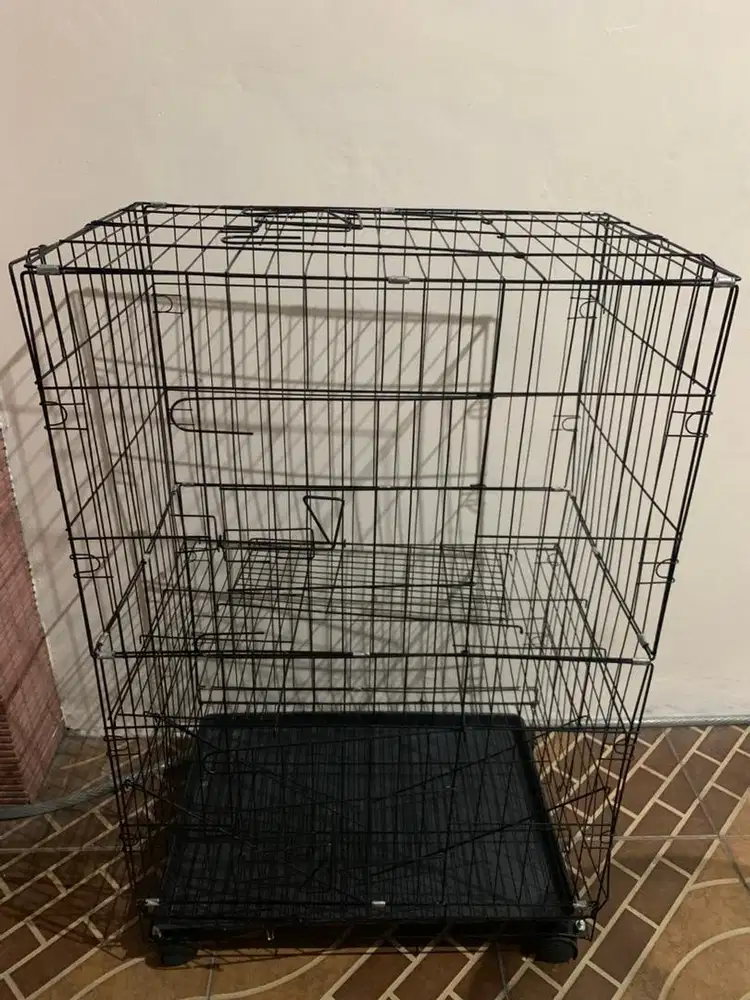 kandang kucing murah