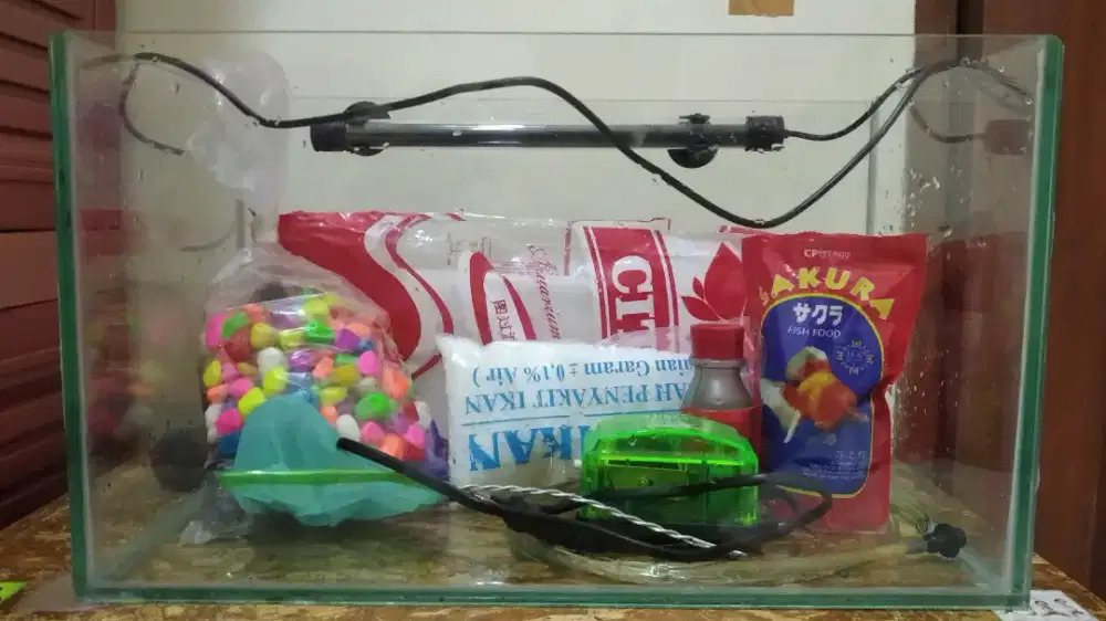 1 set aquarium ikan