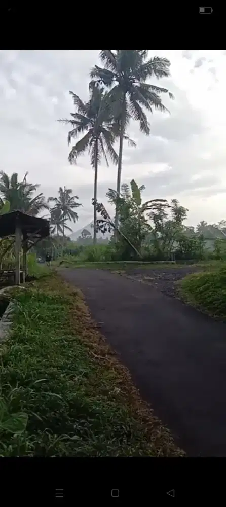 Dijual Tanah Sawah view Merapi Di Utara Kecamatan Turi Sleman