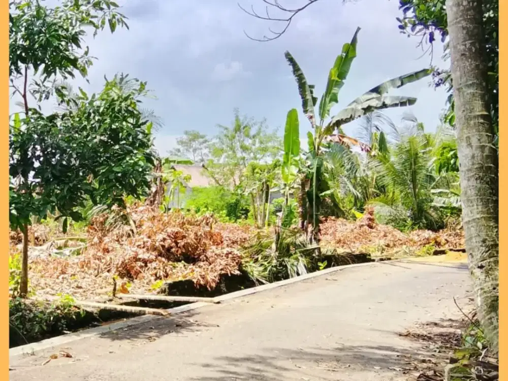 Tanah Jogja Sleman Area Kadilobo Resort Jl Palagan Km 14