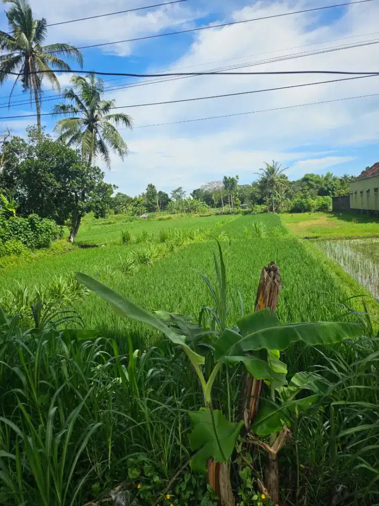 Jual Tanah deket Exit Tol Tempel
