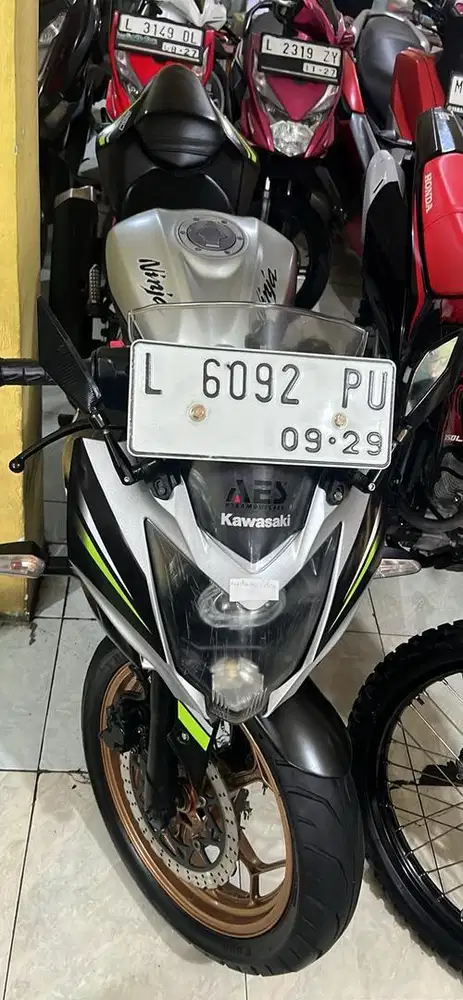 NINJA MONO rr 250 th 2019