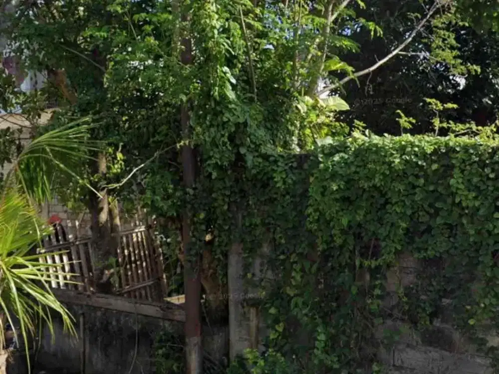 dijual Tanah bonus bangunan di itung tanah saja lokasi renon