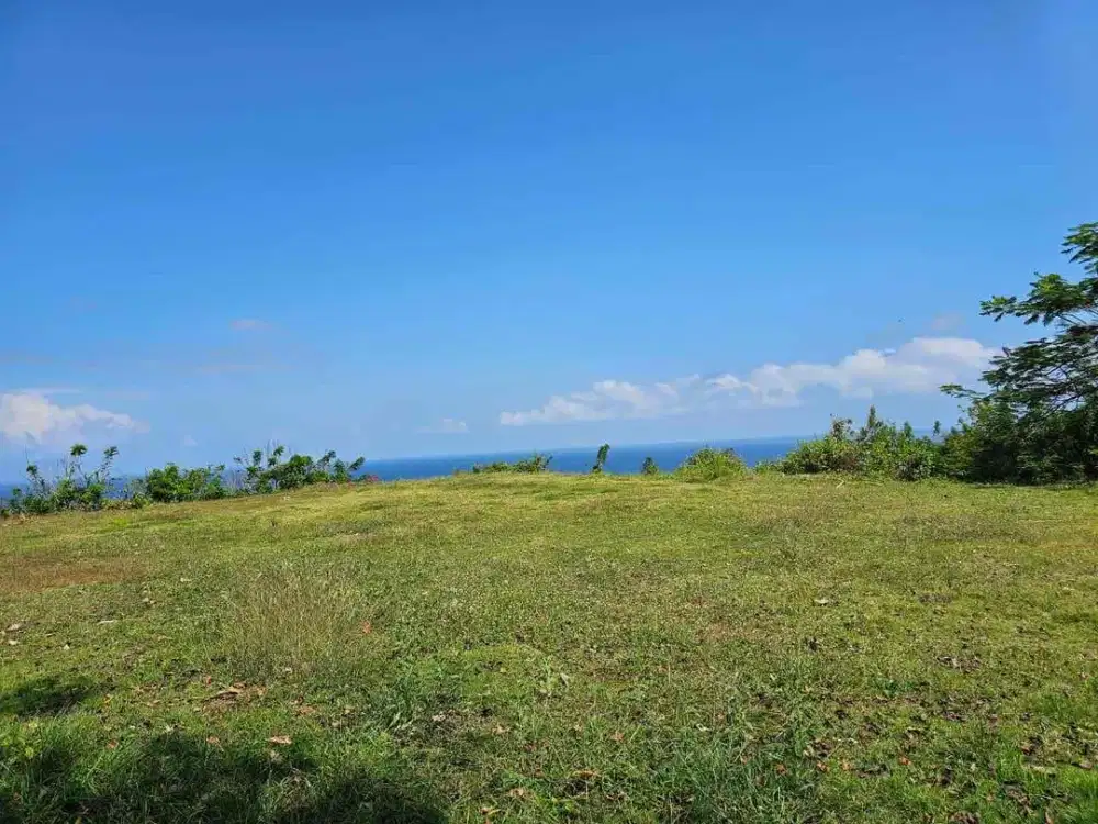 Tanah loss tebing ocean view Pandawa