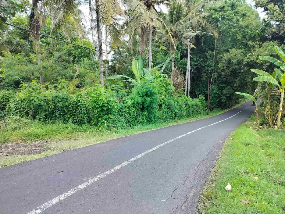 jual tanah pinggirbjln aapal beraban tangguntiti seltim