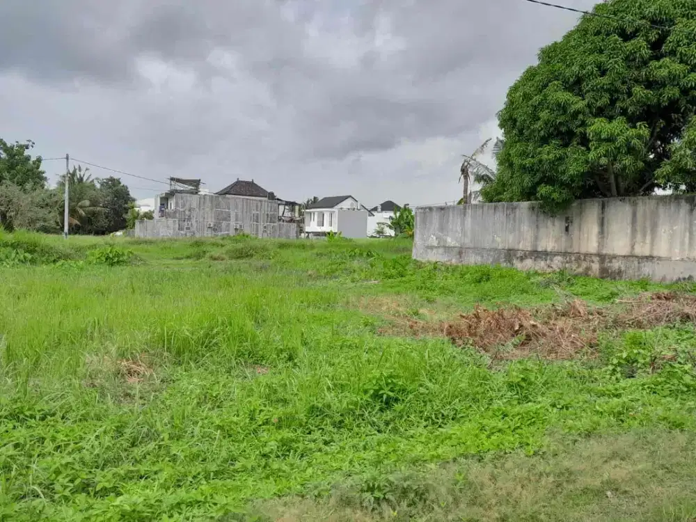 Dijual tanah view sawah  berlokasi kedungu dekat dengan Nuanu beach