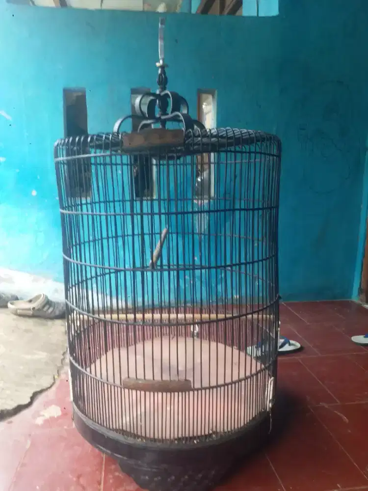 Jual kandang secon replika no 2