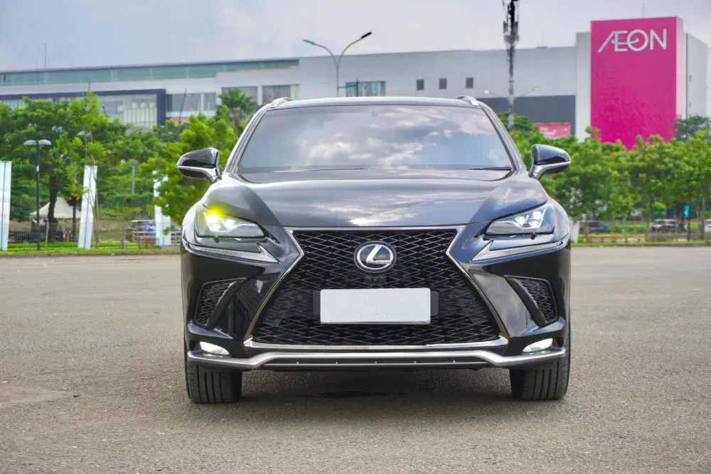 Lexus NX300
F-Sport 2.0 2017