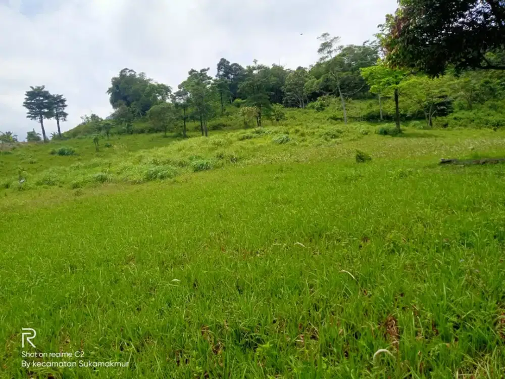 Jual Tanah kebun Luas Murah di Bogor Jonggol dekat Cirau