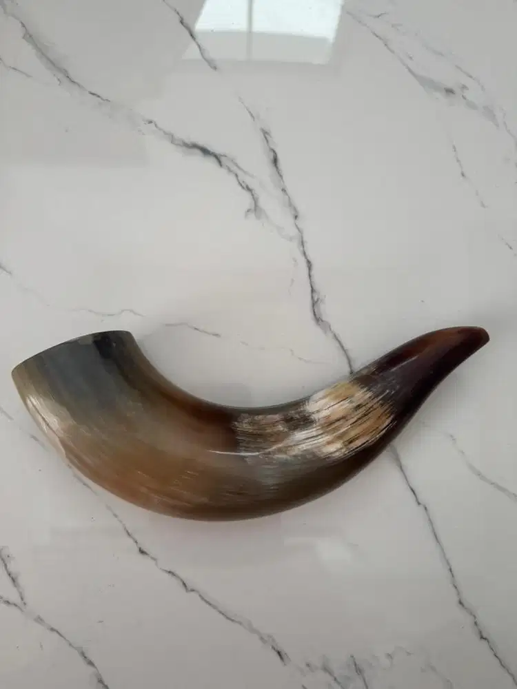 PIPA TANDUK KERBAU HUTAN ASLI