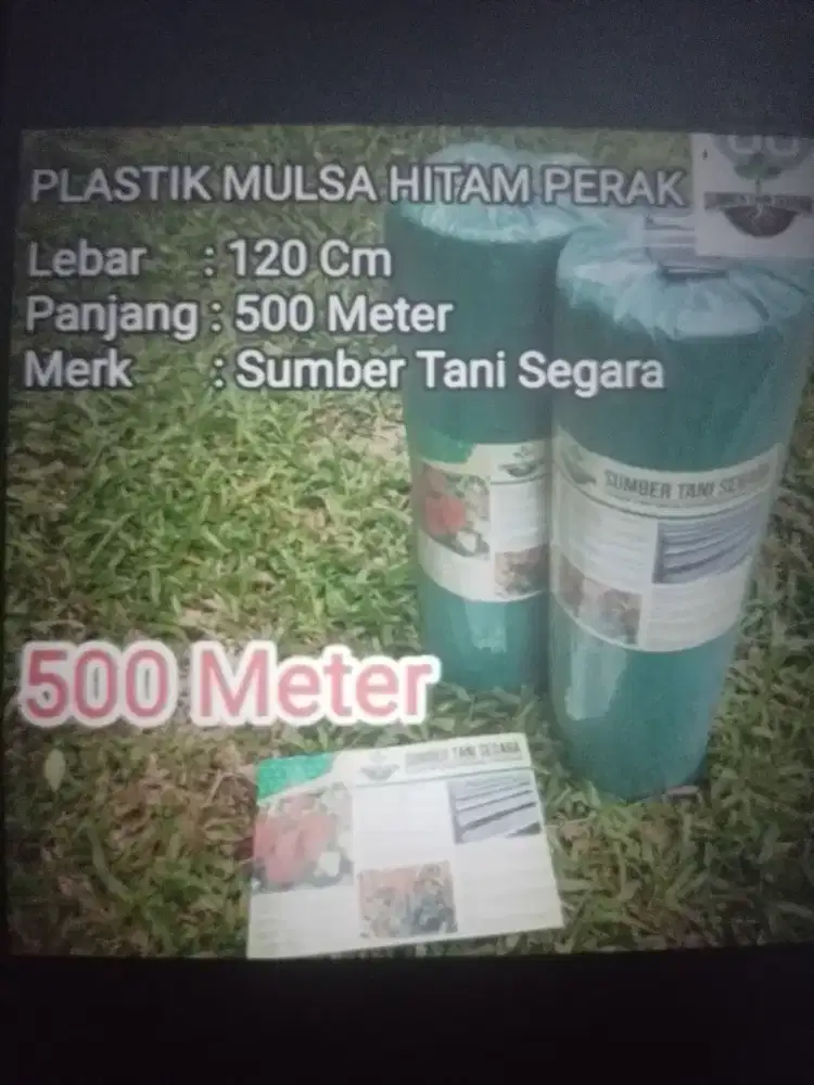 Mulsa Silver Perak
