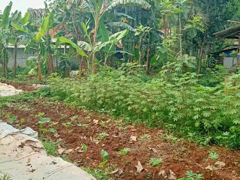 Tanah Siap Bangun Padurenan Gunung Sindur