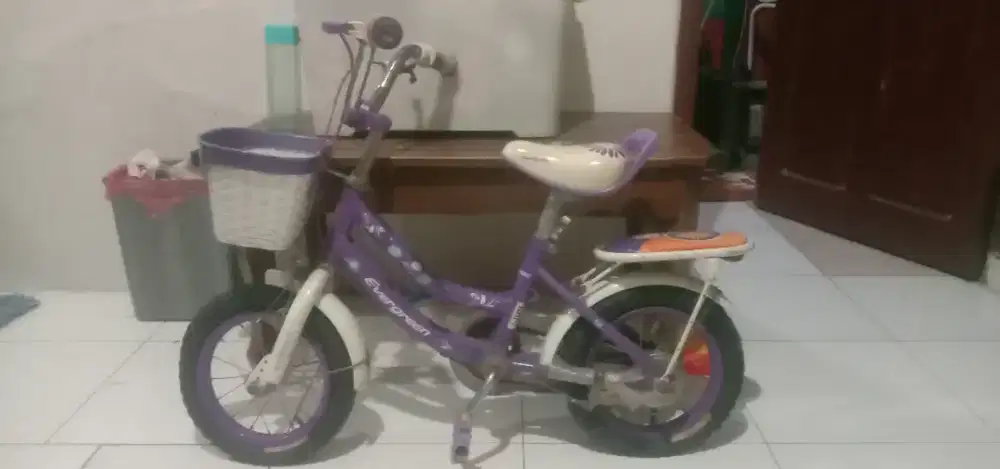 Sepeda anak size 12 Evergreen daisy minus