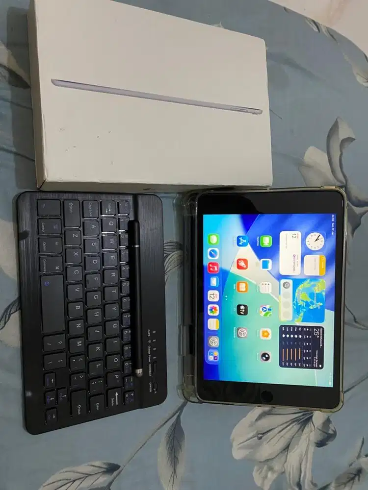 Ipad Mini 5 256 gb Wifi + Cellular