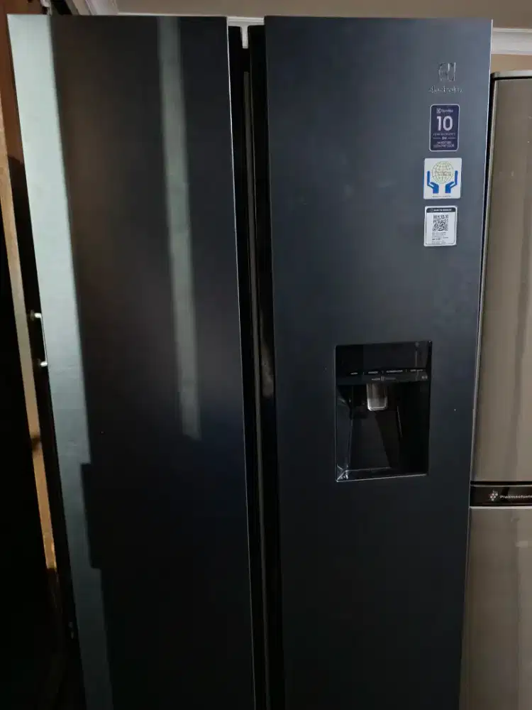 kulkas Electrolux SBS 2 pintu