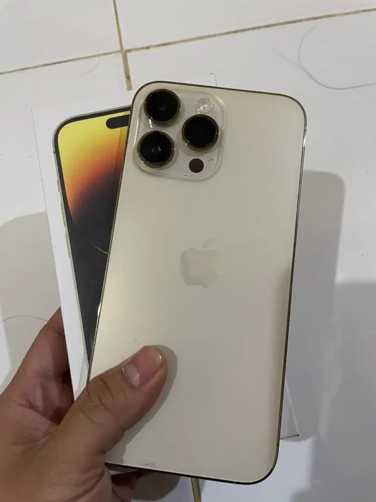 iPhone 14 Pro Max 256Gb