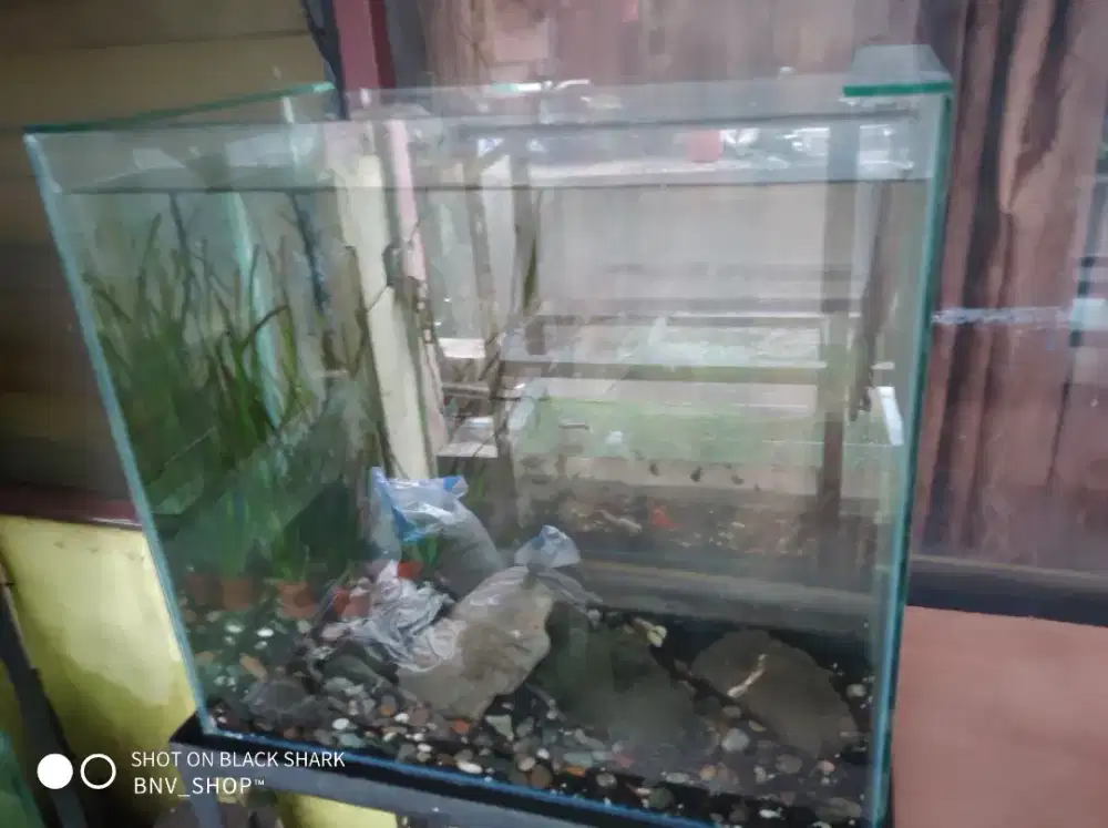 Akuarium P.50xL.27xT.46