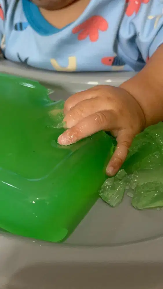 Lowongan Pengasuh Bayi 5 Bulan Pulang Pergi (PP)