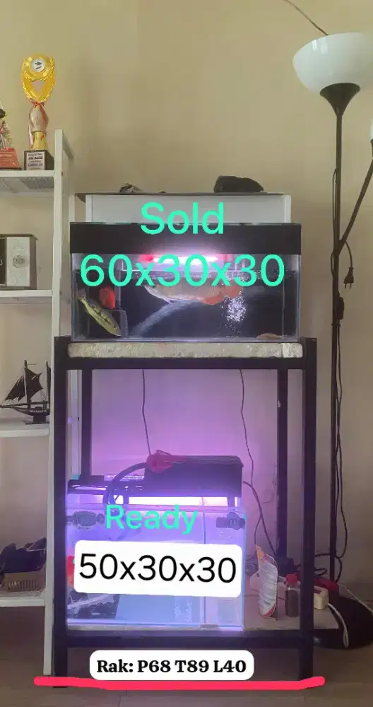 Aquarium 50cm + rak holo