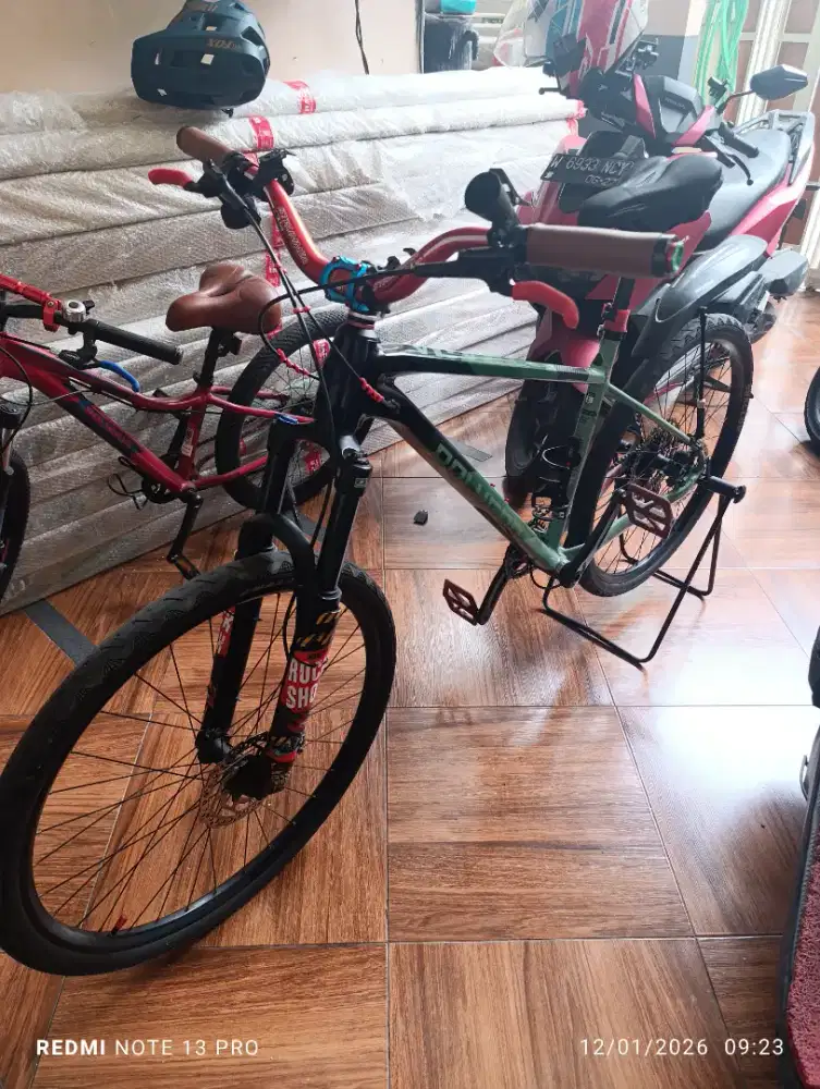 Polygon Extrada 6 Mulus