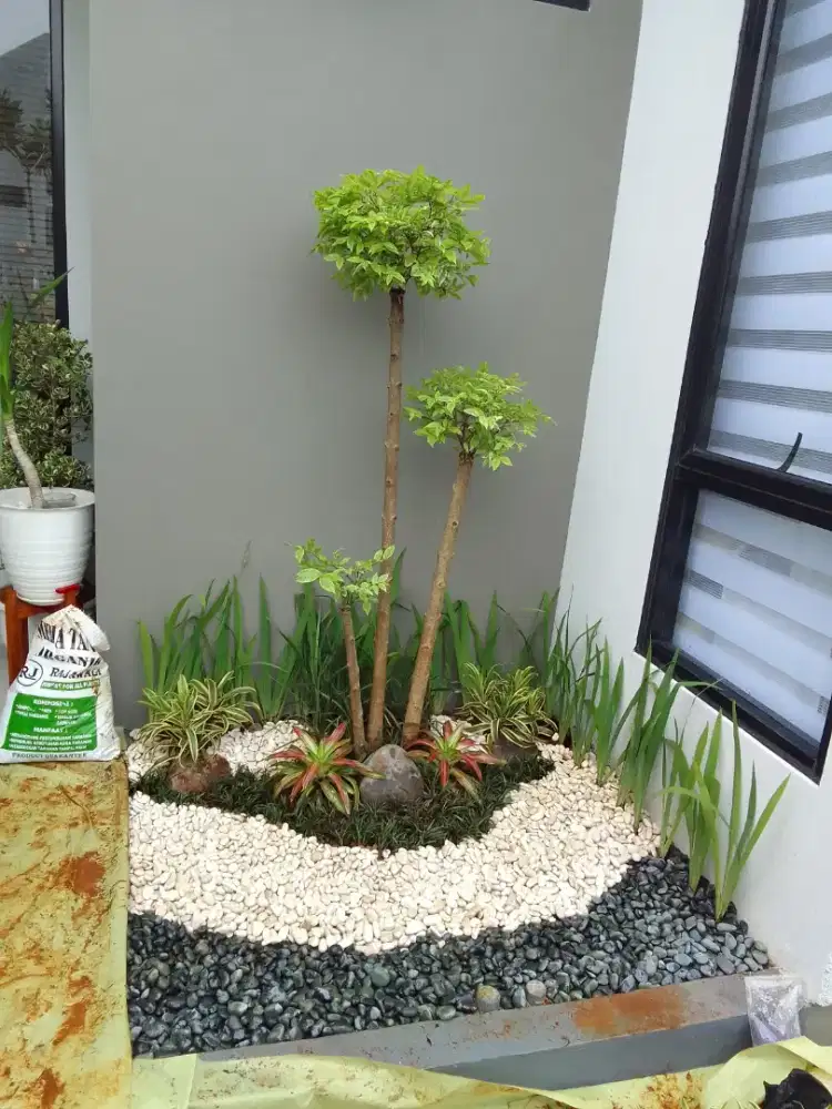 Jasa pembuatan taman minimalis termurah