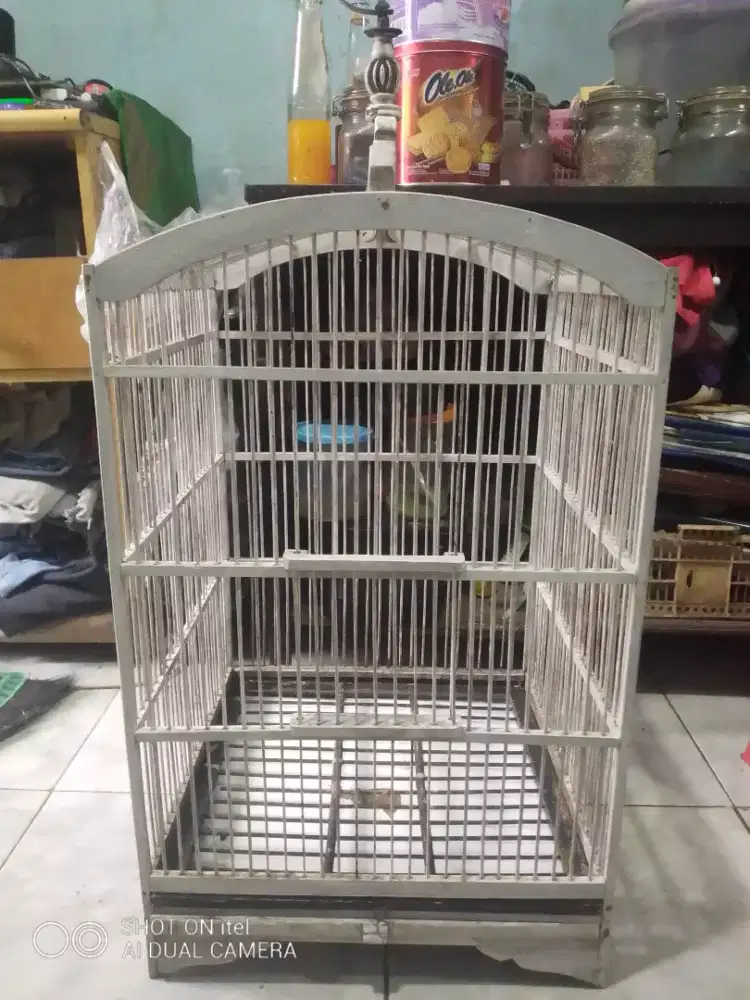 Kandang kotak no 2 di BSD