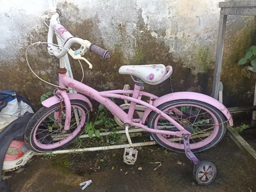 Sepeda Anak second