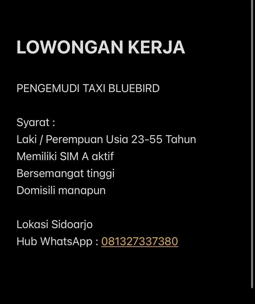 Lowongan Pengemudi Taxi