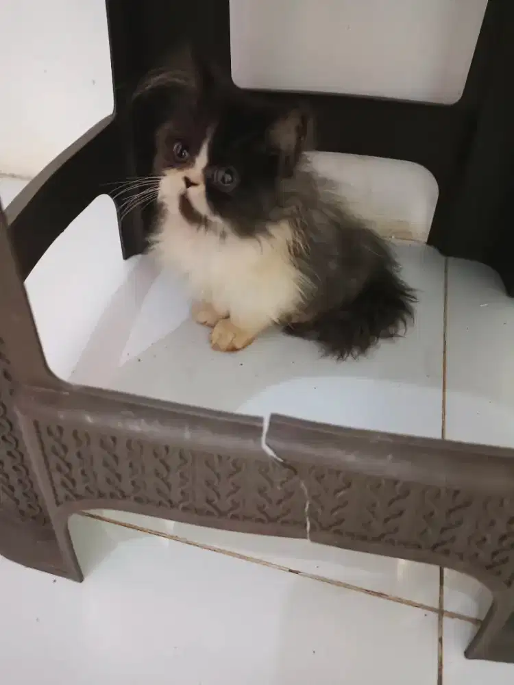 Betina black & white