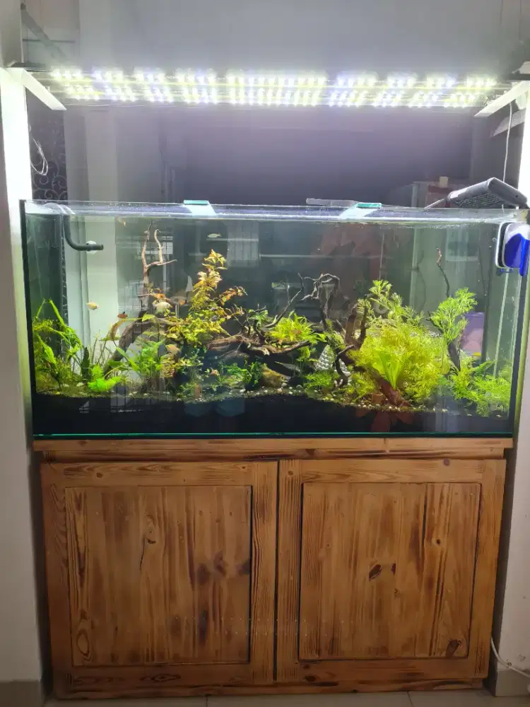 Jual Aquarium lengkap