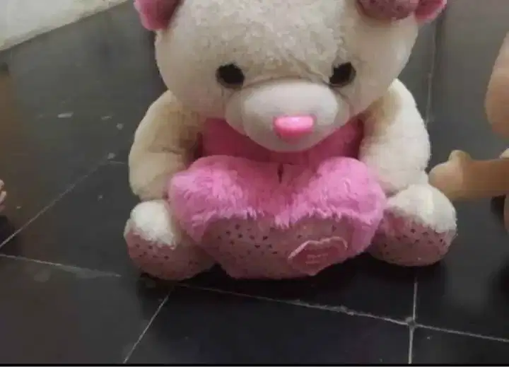 Boneka Teddy dan lainnya