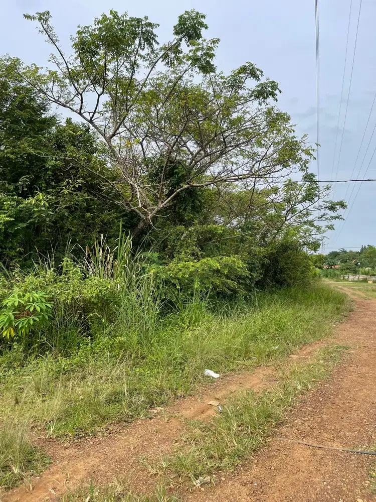 Tanah Trikora belakang Gor Rudi Resnawan