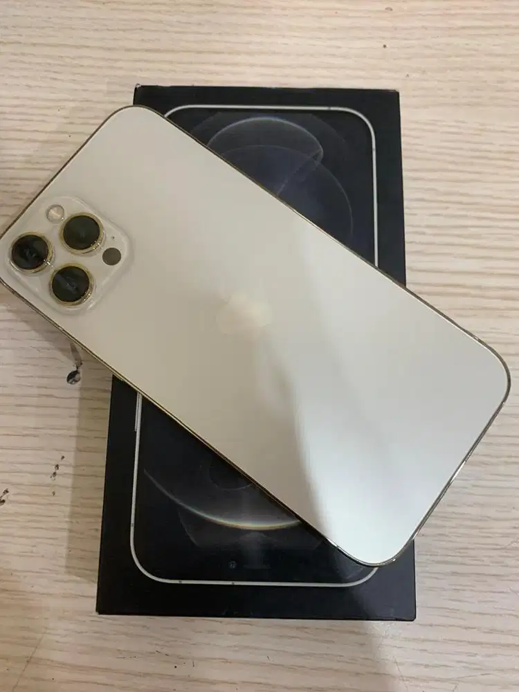 iphone 12 pro max 512gb resmi ibox