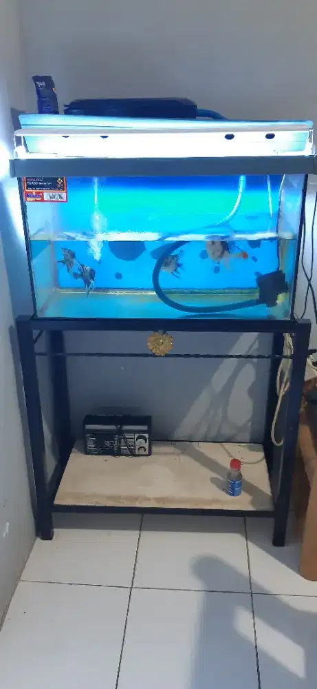 Jual Aquarium 1set