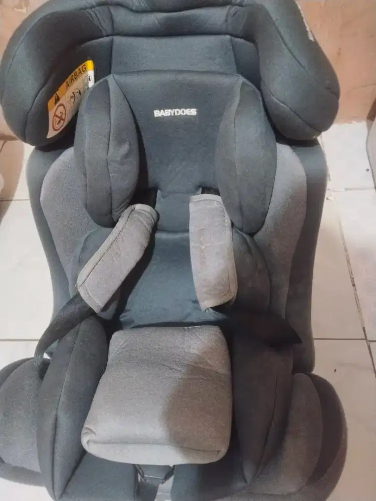 Car Seat Babydoes