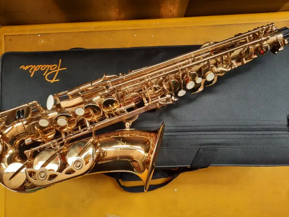 Saxophone alto paladin
